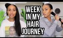 Is This a Bad Idea? 😂| Week In My Hair Journey Ep.14
