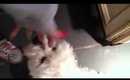 Vlog 58- Lucy I miss her