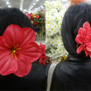 Hair , Flower , Etc <3 