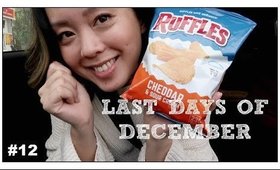 WE WON THE LOTTO! LAST DAYS OF DECEMBER VLOG #12