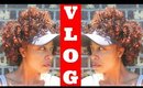 Dying My Hair, YouTube Drama, Pregnancy - Vlog