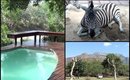 South Africa Days 4 & 5 - Breakfast with Zebras | BeautyCreep