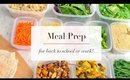 How To Meal Prep for Beginners | EASY RECIPE PLAN | ANN LE