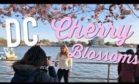 DC Cherry Blossom Photoshoot + Full Upper Body Workout!