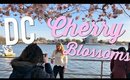 DC Cherry Blossom Photoshoot + Full Upper Body Workout!