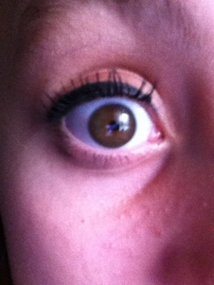 Yup- dome eyeliner, a wonderful brown, and eyelashes that look fake hah but they are real^-^