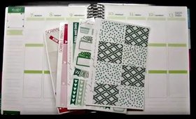 Plan with Me | March 7 -13 | Glam Planner Monthly Colors