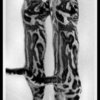 Marilyn P.