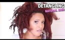 How To DETANGLE MATTED & TANGLED Natural Hair WITHOUT Ripping It Out!