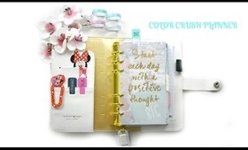 CUM IMI DECOREZ AGENDA- WEBSTER'S PAGES COLOR CRUSH SET UP