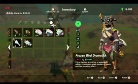 Girl plays Breath of the Wild BLIND STREAM PLAYTHROUGH. Part 39
