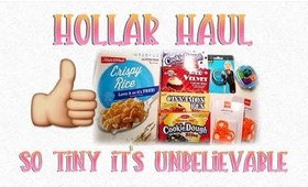 Hollar Haul #11 | So Tiny It's Unbelievable LOL | PrettyThingsRock