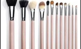 Sedona Lace 12 Piece Brush Set