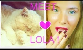 ♥ ♥ MEET LOLA!   My Cute Exotic Shorthair Kitten ♥ ♥  |  TheInsideOutBeauty.com by Heidi