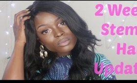 2 Week Stema Hair Update