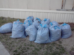 In honor of Earth Day, my husband and I raked up our yard and sent 15 bags of leaves to the Recycling center to be made into mulch, Sorry this isnt exactly a "beauty" picture but to me, I did my part to make the earth a little cleaner today and thats kinda beautiful in my eyes, To each his own. 
