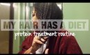 MY HAIR IS ON A REGULAR DIET ?! | My Protein Treatment Routine on HIGH POROSITY NATURAL HAIR