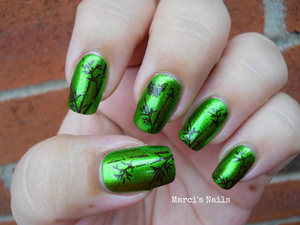 http://marcisnails.blogspot.com/2012/07/born-pretty-store-m66-stamping-plate.html