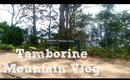 Mount Tamborine Vlog