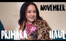 QUIRKY PRIMARK HAUL NOVEMBER 2017 (try on) | Siana