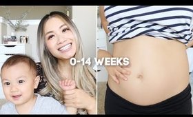 Pregnancy Update 0-14 Weeks, Baby #3 | HAUSOFCOLOR