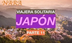 Viajar sola a Japón Parte 11 | Viajera Solitaria